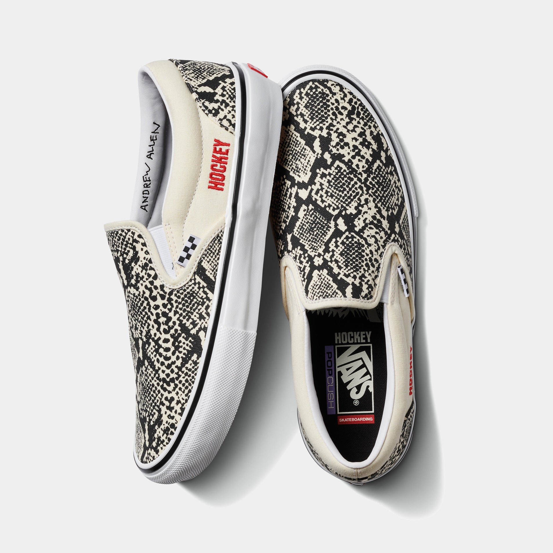 Vans Slip-On Skate Shoes